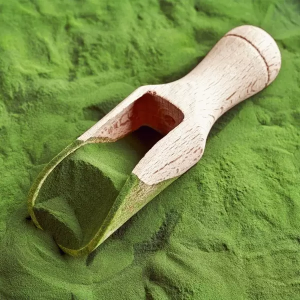 Bio alge in morske trave (pripravki v prahu) 