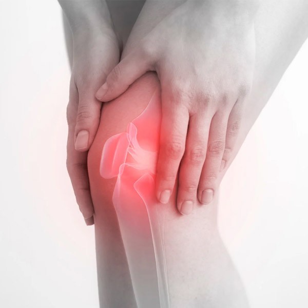 Ostefit sklepi in kosti - Herbana