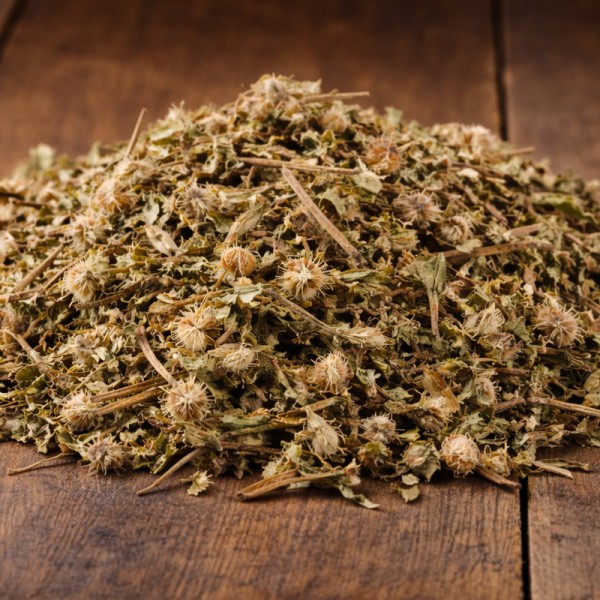 Drobnocvetni vrbovec