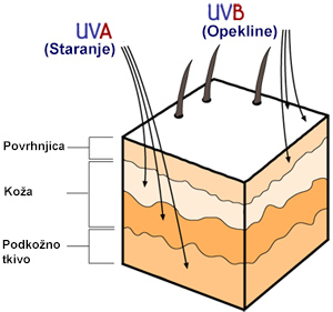 Shema kože UVA in UVB