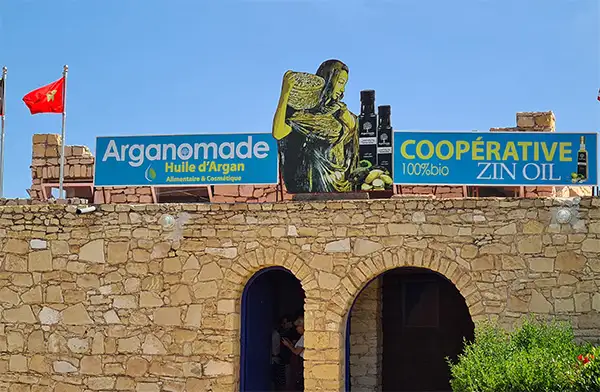 Zadruga za arganovo olje v Maroku