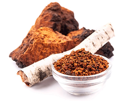 Chaga medicinska goba - Herbana