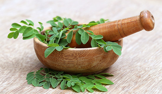 Moringa listi - Herbana