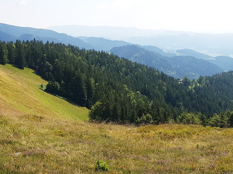 Pohorsko gorovje Slovenija