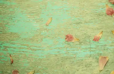 Išči po kategorijah